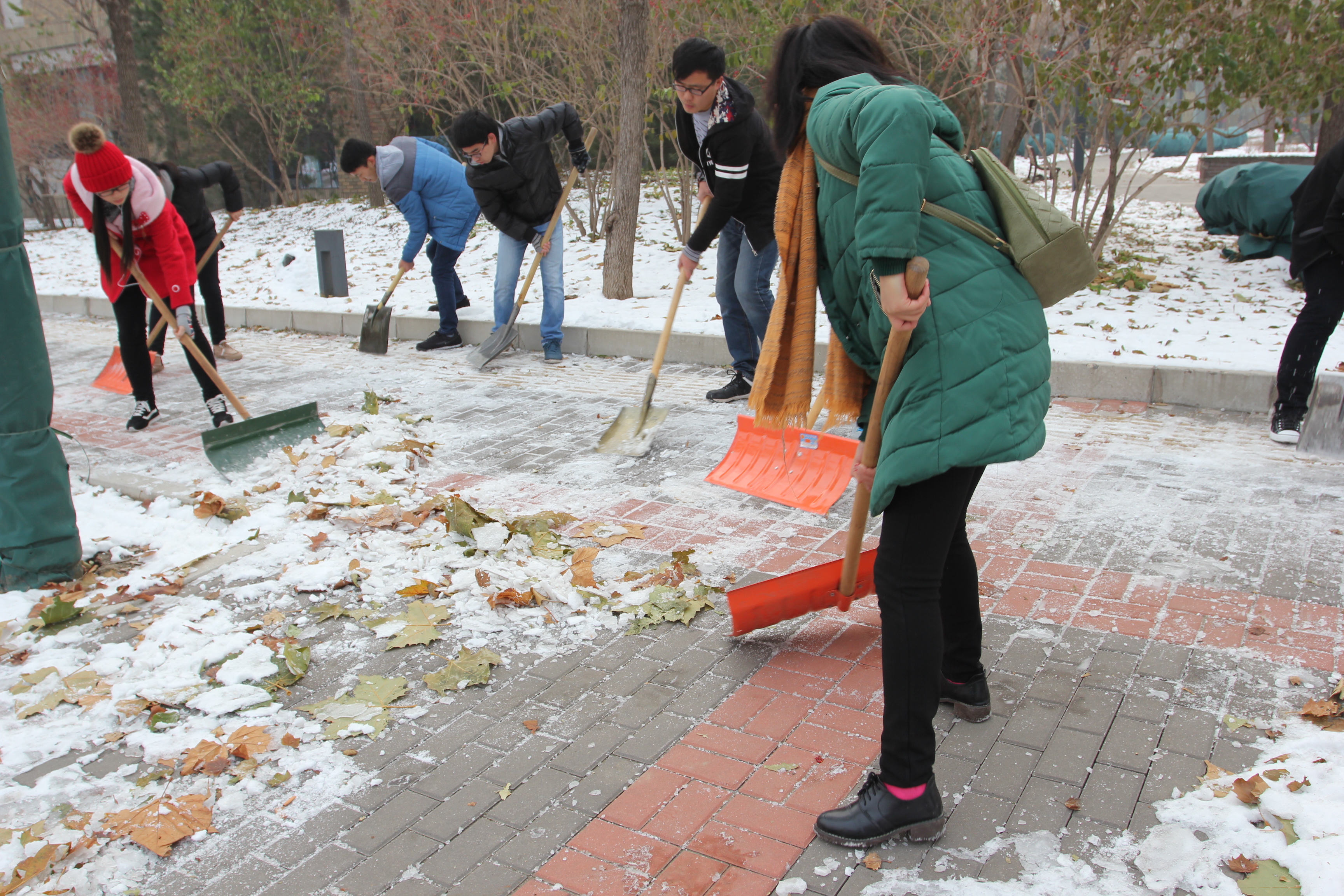 与助强班学生一起扫雪铲冰