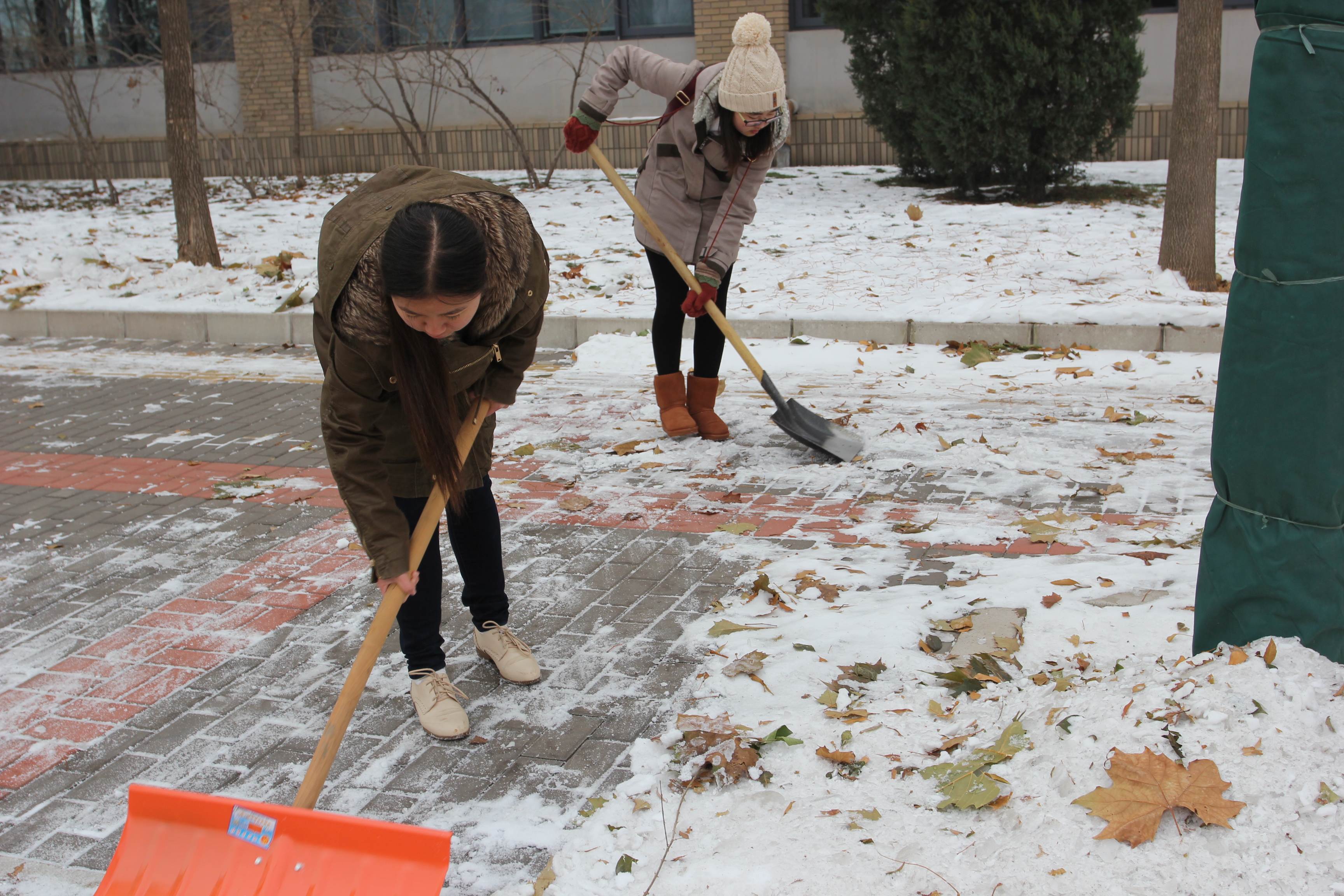 与助强班学生一起扫雪铲冰